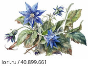 Borage on a white background, watercolor painting , Generative AI. Стоковое AI-изображение, AI-художник Анна Кривицкая / Фотобанк Лори