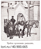 Тройка орловских рысаков. Орловские рысаки. Иллюстрация из журнала "Московский листок" 1902 года. Стоковая иллюстрация, иллюстратор Макаров Алексей / Фотобанк Лори