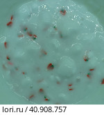 Photography of blue homemade slime decorated with strawberry pieces. Concepts of play, growing up and childhood. Close up image. Стоковое фото, фотограф YuryKara / Фотобанк Лори