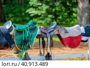 Leather saddles hang on a wooden fence. The concept of long-distance running competitions. Стоковое фото, фотограф Юрий Поздников / Фотобанк Лори