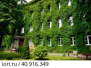 Здание университета имени Янки Купалы в Гродно (2023 год). Стоковое фото, фотограф Максим Соколов / Фотобанк Лори