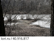 Парк ранней весной, река подо льдом. Стоковое фото, фотограф Irina Kruskop / Фотобанк Лори
