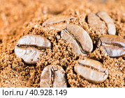 Кофейные зерна и молотый кофе. Стоковое фото, фотограф E. O. / Фотобанк Лори