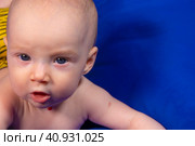 a baby on a blue background with a wooden rattle. Стоковое фото, фотограф Anastasia Kayander / Фотобанк Лори