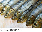 Pickled pilchards on wooden background with copyspace. Стоковое фото, фотограф Яков Филимонов / Фотобанк Лори