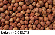 Hazelnuts harvest. Filbert video wallpaper. Full frame of hazel. Cobnut background. Peeled brown nut kernels. Healthy organic bio products. Vegetarian, vegan and raw food. Back to nature. Healthy fat. Стоковое видео, видеограф Марина Демидюк / Фотобанк Лори