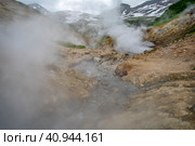 Долина гейзеров. Камчатка. Россия июль 2023. Стоковое фото, фотограф Владимир Макеев / Фотобанк Лори