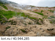 Долина гейзеров. Камчатка. Россия июль 2023. Редакционное фото, фотограф Владимир Макеев / Фотобанк Лори