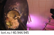 Adding Noodles in Wok - Vertical Video. Стоковое видео, видеограф Поскребышев Михаил / Фотобанк Лори
