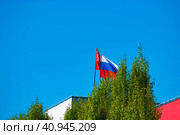 He Russian flag next to the victory banner on the roof of the building behind a tall tree. The middle plan (2022 год). Стоковое фото, фотограф Антон Вахрушев / Фотобанк Лори