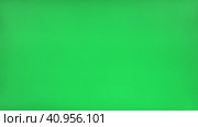 Gestures pack. Female Hand with Beige Manicure Showing Thumb Up and Thumbs Down isolated on Chroma key Green Screen Background. Body Language. 4K Footage Pack. Close Up. Like and No-like, Dislike. Стоковое видео, видеограф Марина Демидюк / Фотобанк Лори