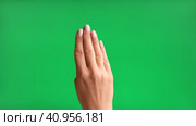 Gestures pack. Female hand touching, clicking, tapping and swiping on chromakey green screen. Zoom in, zoom out. Close up. 4K Footage Pack. Using for a smartphone, tablet pc or a touch screen devices. Стоковое видео, видеограф Марина Демидюк / Фотобанк Лори