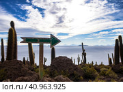 Landscape photo of wild nature salt flat with cactuses island, signpost plate arrow. Scenery view of Bolivia natural salt desert wilderness. Bolivian landmarks concept. Copy ad text space, backgrounds (2016 год). Стоковое фото, фотограф Aleksandr Golubev / Фотобанк Лори