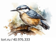 Nuthatch on a white background, watercolor style, Generative AI. Стоковое AI-изображение, AI-художник Анна Кривицкая / Фотобанк Лори