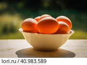 Natural chicken Eggs with whole brown shell in white bowl on the green natural background close up. Happy Easter. Стоковое фото, фотограф Марина Демидюк / Фотобанк Лори