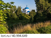 Ярославская область, город Переславль-Залесский, улица Московская, 11. Вид на Сретенский храм (храм Сретенья Господня) (2023 год). Стоковое фото, фотограф Наталья Николаева / Фотобанк Лори
