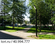Street lantern on the summer foliage background. Sunshine (2023 год). Редакционное фото, фотограф Tae Mi / Фотобанк Лори