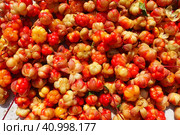 Rubus chamaemorus is a species of flowering plant rose family Rosaceae, native to cool temperate regions. Cloudberry, nordic berry, bakeapple, knotberry, aqpik or low-bush salmonberry, averin or evron. Стоковое фото, фотограф Юлия Петровская / Фотобанк Лори