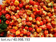 Rubus chamaemorus is a species of flowering plant rose family Rosaceae, native to cool temperate regions. Cloudberry, nordic berry, bakeapple, knotberry, aqpik or low-bush salmonberry, averin or evron. Стоковое фото, фотограф Юлия Петровская / Фотобанк Лори