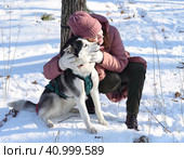 Russian young girl clung to Siberian husky lovingly against winter background in forest. Стоковое фото, фотограф Татьяна Терехина / Фотобанк Лори