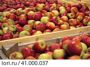 Apples in Wood Crates Ready for Shipping. Cold Storage Interior. Large Distribution Warehouse with Apples. Video Footage for Advertising. Juice, Cider, Vinegar Production. Food Factory. Fruit Industry. Стоковое фото, фотограф Марина Демидюк / Фотобанк Лори
