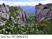 Скалы Нагой-Кош, плато Лаго-Наки, Адыгея. Стоковое фото, фотограф Оглоблин Андрей Николаевич / Фотобанк Лори