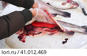 Man's hands cut raw fish, caviar inside close-up. Стоковое видео, видеограф Anna Scherbina / Фотобанк Лори
