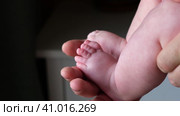 Father holding Baby Feet in Hands. Legs Newborn in male parents Hand. Small children's Feet in the Father's Palm. Close-up. Little Toes of Child and Man Hands of Happy Parent. Father's Day Holiday. Стоковое видео, видеограф Марина Демидюк / Фотобанк Лори
