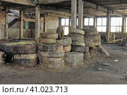 Abandoned paintball playground with barricades made of old tires with paint marks after fights. Стоковое фото, фотограф Анна Кривицкая / Фотобанк Лори