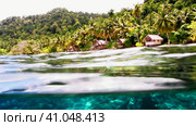 Split view above and below water surface. Tropical shore with coconut trees and dwellinds. Stunning. Стоковое видео, видеограф Igor Tichonow / Фотобанк Лори