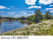 Ковыль красивейший (Stipa pulcherrima K. Koch (семейство Poaceae) на склоне побережья лесного озера в окружении берёз. Новосибирская область, Западная сибирь России. Стоковое фото, фотограф Евгений Мухортов / Фотобанк Лори