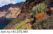 Los Gigantes cliffs close-up on Tenerife, spectacular aerial view. Dangerous narrow path along bluff (2022 год). Стоковое видео, видеограф Ольга Сухарева / Фотобанк Лори