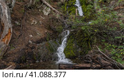 A picturesque waterfall flows down the mountainside. Green vegetation around. Fallen logs, branches in the streambed. Tierra del Fuego National Park. Cascada Rio Pipo. Argentina. Стоковое фото, фотограф Вера Ивановна Кубарева / Фотобанк Лори