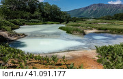 In the crater of an extinct volcano there is a geothermal lake with blue opaque water. Sulphurous deposits on the soil. Green vegetation around. Mountains against the sky. Kamchatka. Uzon Caldera. Стоковое фото, фотограф Вера Ивановна Кубарева / Фотобанк Лори