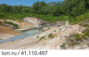 There are hot springs with opaque water in the caldera of an extinct volcano. Yellow sulphurous deposits are visible on the soil. Lush green vegetation around. Blue sky. Kamchatka. Uzon. Стоковое фото, фотограф Вера Ивановна Кубарева / Фотобанк Лори