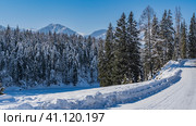 A road trampled in snow climbs a hill. Snowdrifts on the roadsides. The coniferous trees of the taiga are covered with hoarfrost. Mountain peaks against a clear blue sky. Altai. Стоковое фото, фотограф Вера Ивановна Кубарева / Фотобанк Лори