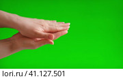 Female Hands are clapping on green screen background. Girl Hands applauding on a chroma key background. Applause on chromakey. Concept of victory and award. Стоковое видео, видеограф Марина Демидюк / Фотобанк Лори