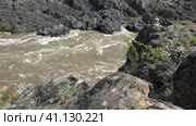 Video of Altai river Katun and Oroktoy rapids Teldekpen near Oroktoysky bridge. Стоковое видео, видеограф Сергей Пристяжнюк (Serg Zastavkin) / Фотобанк Лори