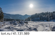 The path is trampled through snowdrifts. Picturesque boulders are covered with a layer of snow. In the distance, steam rises over an unfrozen river. Coniferous forest and mountains against the sky. Стоковое фото, фотограф Вера Ивановна Кубарева / Фотобанк Лори
