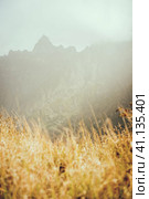 Sunlight diffused by fog fall over dried yellow grass. Sharp mountain ridge silhouette on the background. In a valley on Santo Antao Cape Verde. Стоковое фото, фотограф Igor Tichonow / Фотобанк Лори
