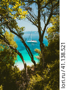 White catamaran yacht in clear blue transparent sea water surface hidden framed by branches of pine tree. Amazing paradise dream like Fteri beach lagoon, Kefalonia, Greece (2018 год). Стоковое фото, фотограф Igor Tichonow / Фотобанк Лори