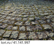 Neatly laid out old paving stones. Pavement on the square of the old town. Square and rectangular stones on the ground, covered with moss and lichens. Стоковое фото, фотограф Юлия Петровская / Фотобанк Лори