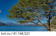 A sprawling green tree against a blue sky, on the shore of a lake. A picturesque mountain range in the distance. Argentina. Tierra del Fuego National Park. Ensenada Zaratiegui Bay. Beagle Channel. (2023 год). Стоковое фото, фотограф Вера Ивановна Кубарева / Фотобанк Лори