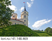 Замок Бип. Павловск. Санкт-Петербург (2023 год). Стоковое фото, фотограф Сергей Афанасьев / Фотобанк Лори