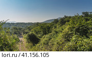 A narrow dirt safari road runs through the jungle. Ruts on the ground. On the roadsides - impassable thickets of trees and bushes. Hills against the blue sky. India. Sariska National Park. Стоковое фото, фотограф Вера Ивановна Кубарева / Фотобанк Лори