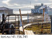 Короткое лето на арктической метеостанции (2023 год). Редакционное фото, фотограф Юрий Шурчков / Фотобанк Лори