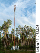 Cellular tower in a wooded area on the edge of the forest against the background of the evening sky. Стоковое фото, фотограф Оксана Медведева / Фотобанк Лори