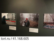 Фотографии Валерия Мельникова в экспозиции выставки "Новороссия" ГИМ Москва (2023 год). Редакционное фото, фотограф Дмитрий Неумоин / Фотобанк Лори