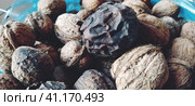 Walnuts close-up. Harvest of nuts. Walnut fruits, rounded large single single-seeded drupes. A healthy diet that includes glycerides of linoleic, oleic, stearic, palmitic and linolenic acids. Стоковое фото, фотограф Юлия Петровская / Фотобанк Лори