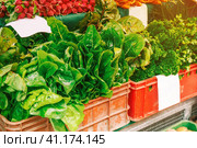 Fresh organic produce at the local farmers market. Farmers ' markets are a traditional way of selling agricultural products. Стоковое фото, фотограф Оксана Медведева / Фотобанк Лори